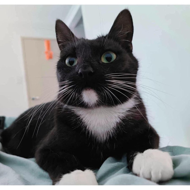 Photo of 8998   Lin Lin