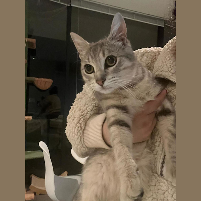 Photo of Romeo 