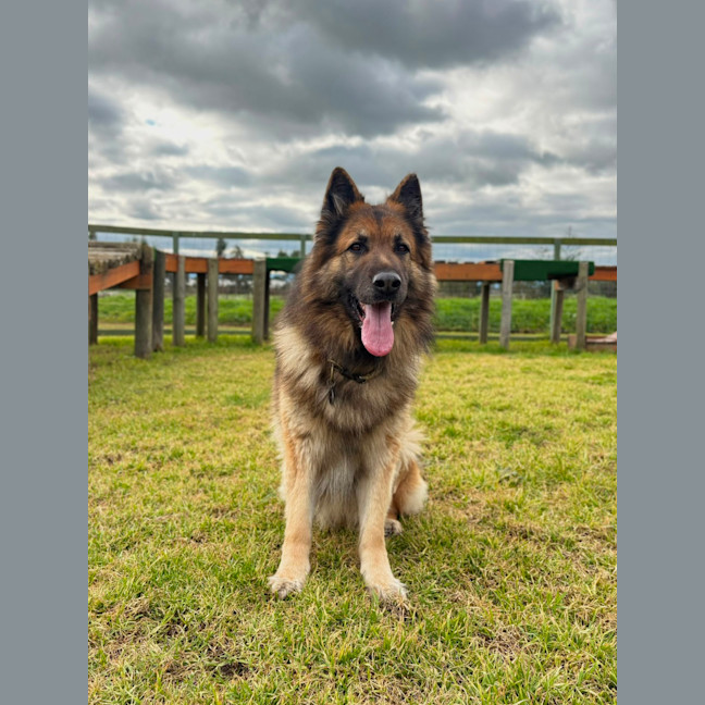 Photo of Duke
