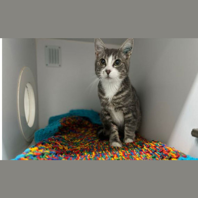 Photo of Bingo