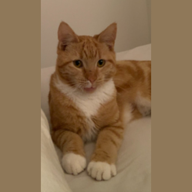Photo of Sandi