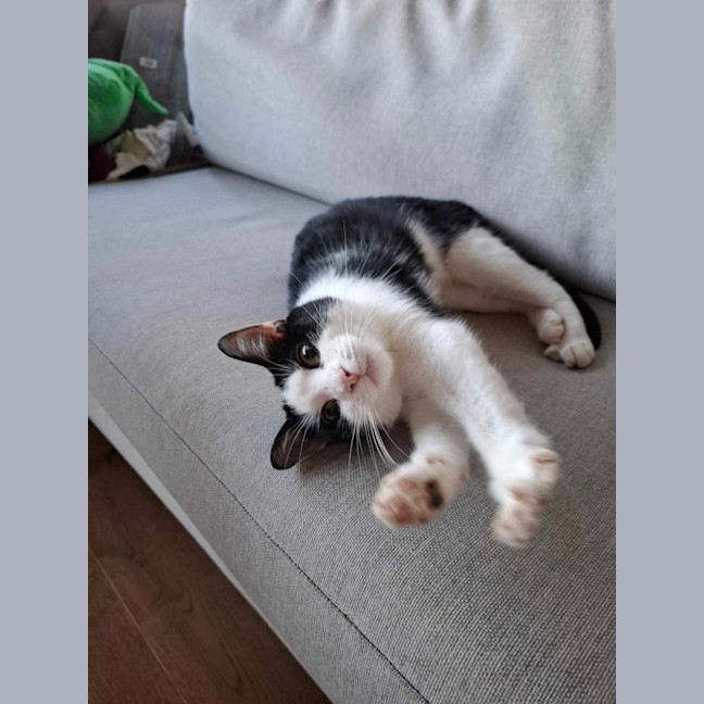 Photo of Maisie & Moo 🐄