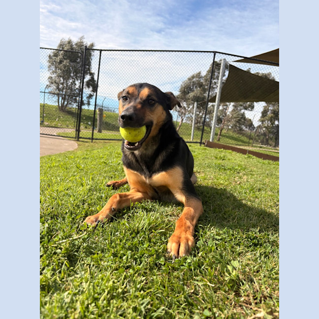 Photo of Angel