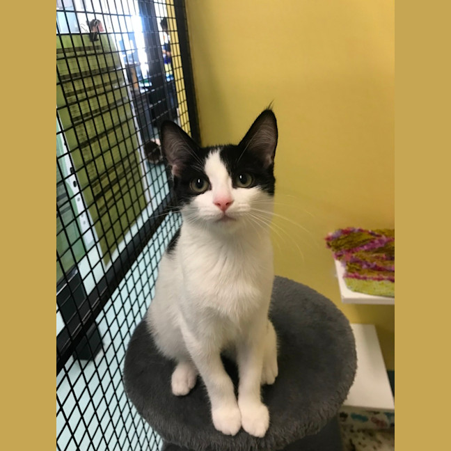 Photo of Mickey And Snow White