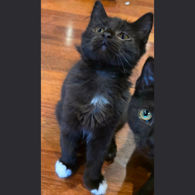 Photo of Toots
