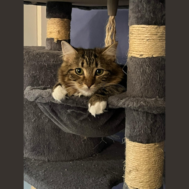 Photo of Lily