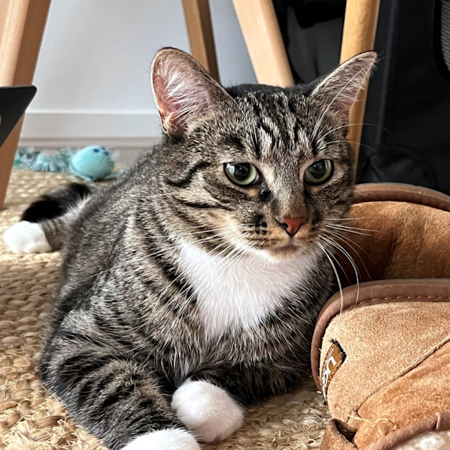 Photo of Timmy Sta012534