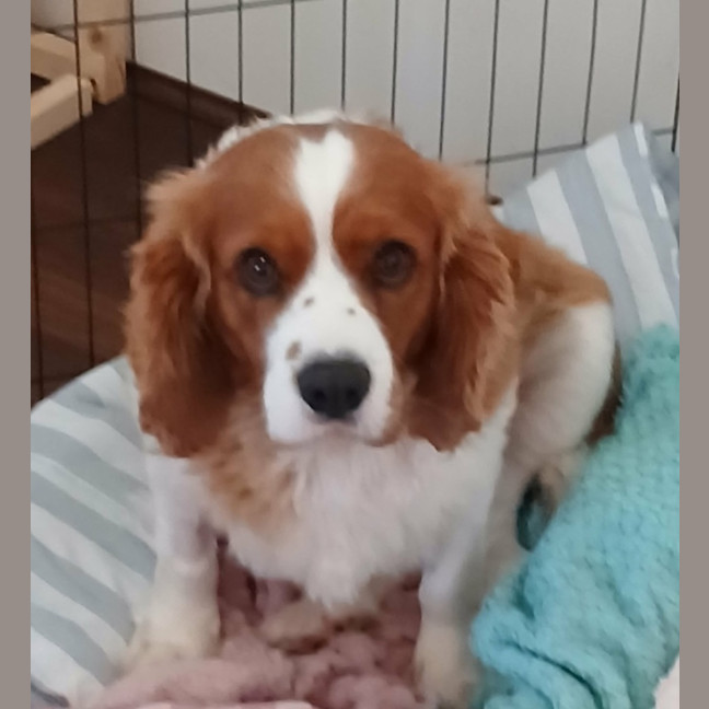 Photo of Matilda 