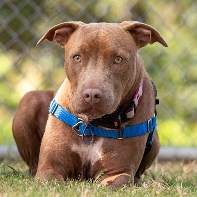 Photo of Enid