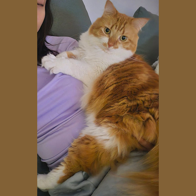 Photo of Leo