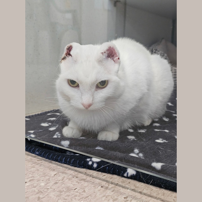 Photo of Rayanne Gunna