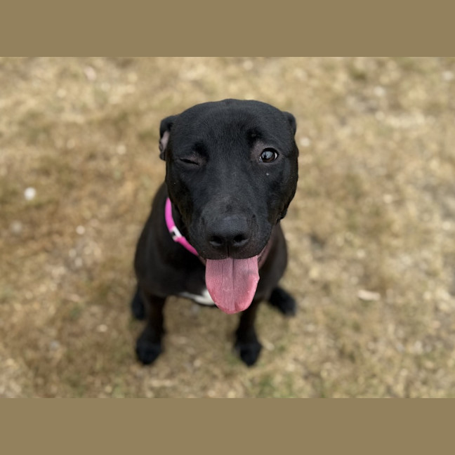 Photo of Tohru Imp 3013