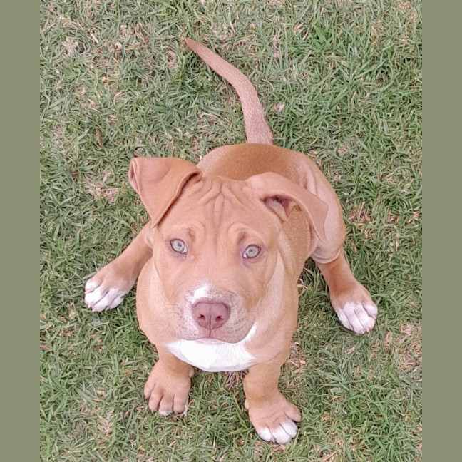 Photo of Rocket