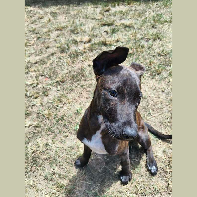 Photo of Velma