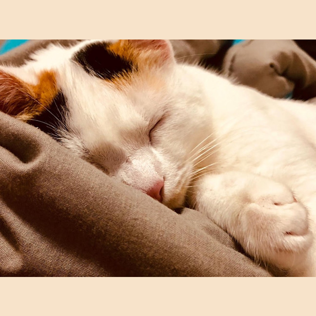 Photo of April