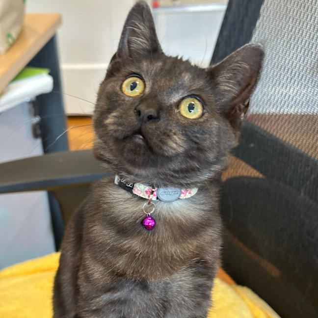 Photo of Lara