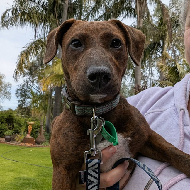 Photo of Coco