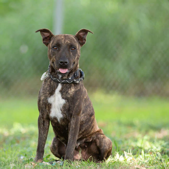 Photo of Moira