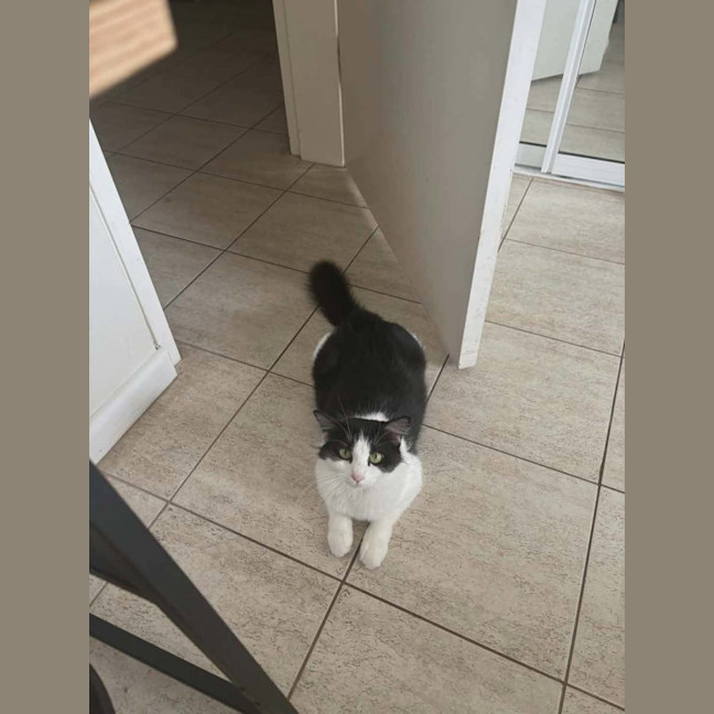 Photo of Daisy