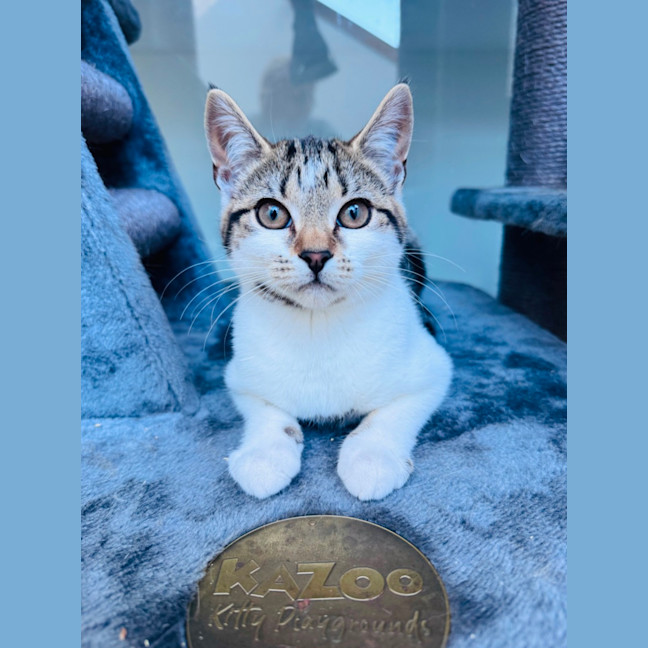 Photo of Zara ❤️