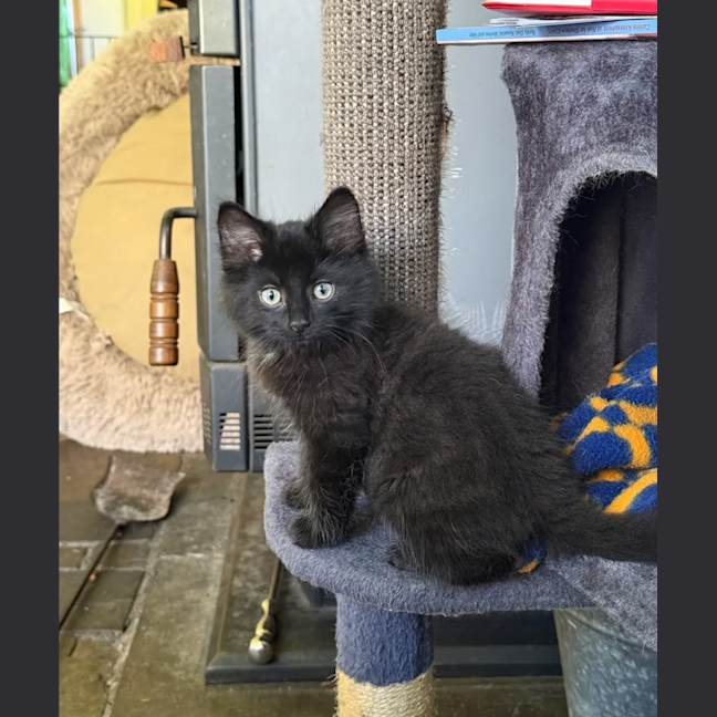 Photo of Void