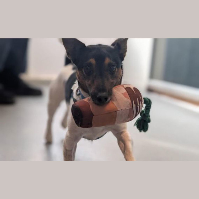 Photo of Reggie