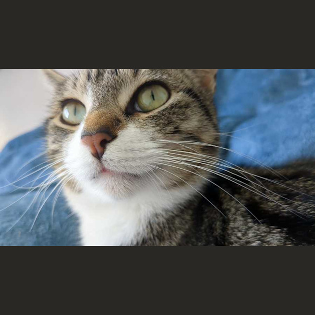 Photo of Esme