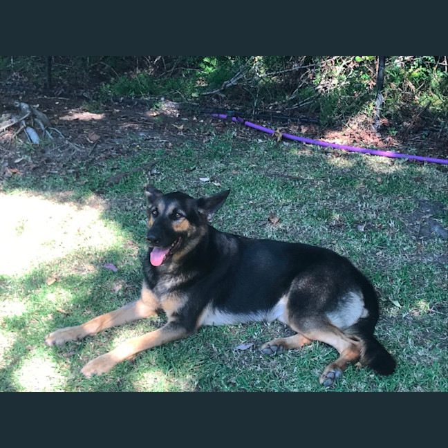 Photo of Indi
