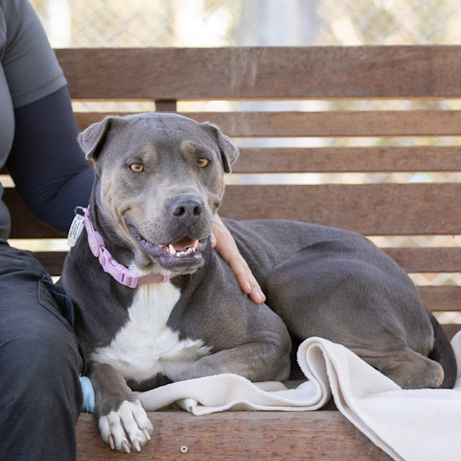 Photo of Narla
