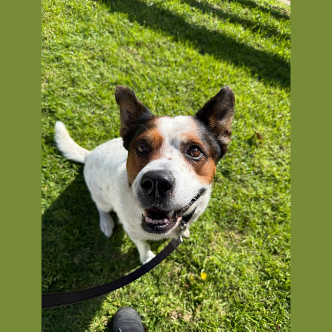 Photo of Billybob