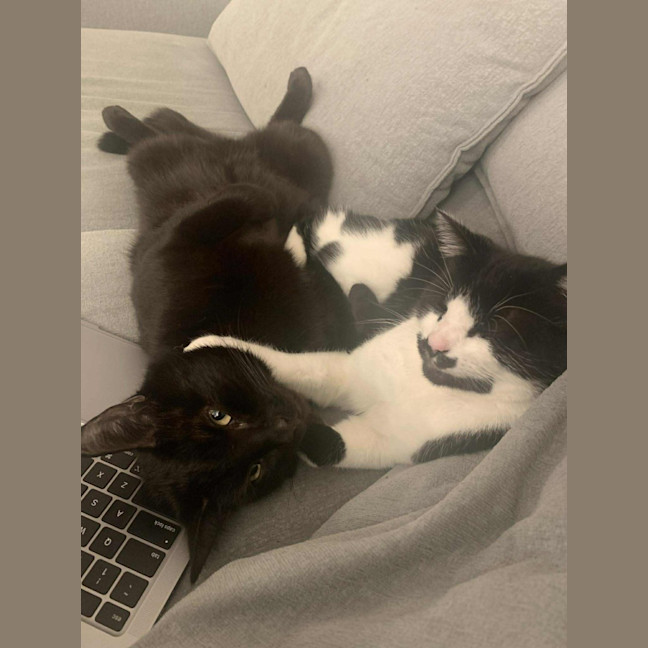 Photo of Douglas    In Foster Care In Thornbury