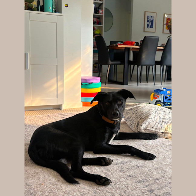 Photo of Max