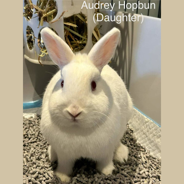 Photo of Audrey Hopburn With Mary Poppin