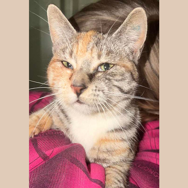 Photo of Spice