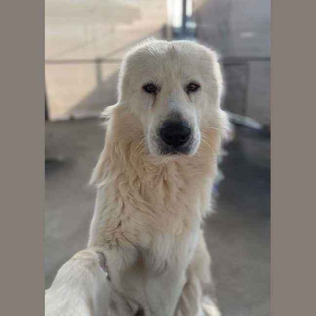 Photo of Handsome