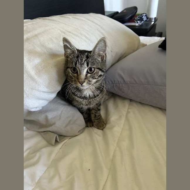 Photo of Grug