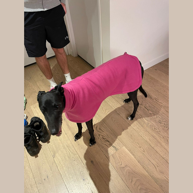 Photo of Girlie