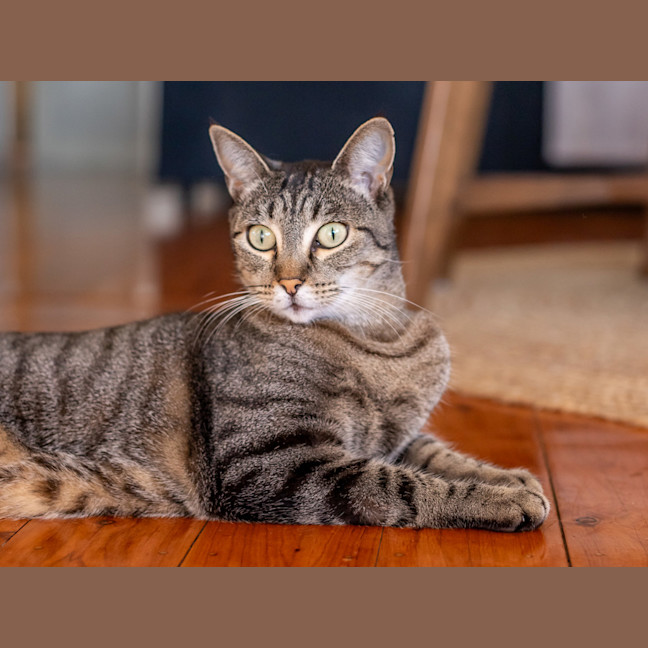 Photo of Missy