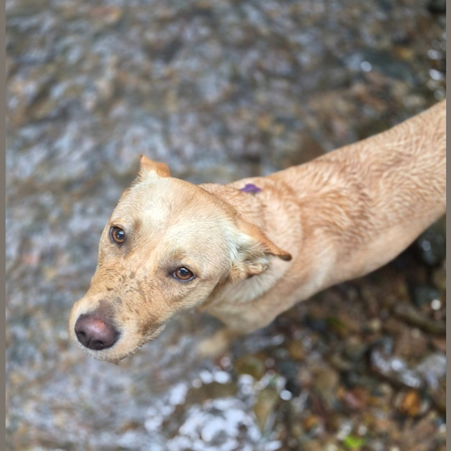 Photo of Marley 