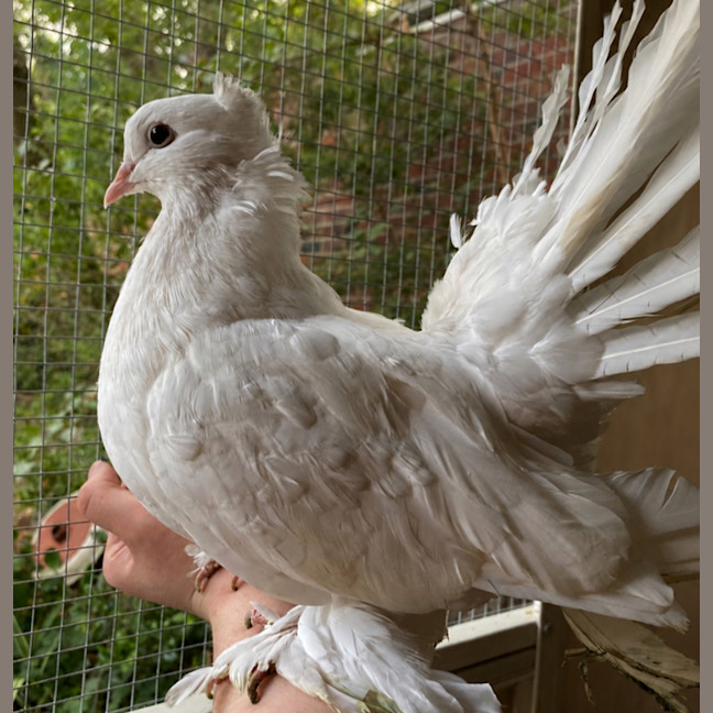 Photo of Fanny