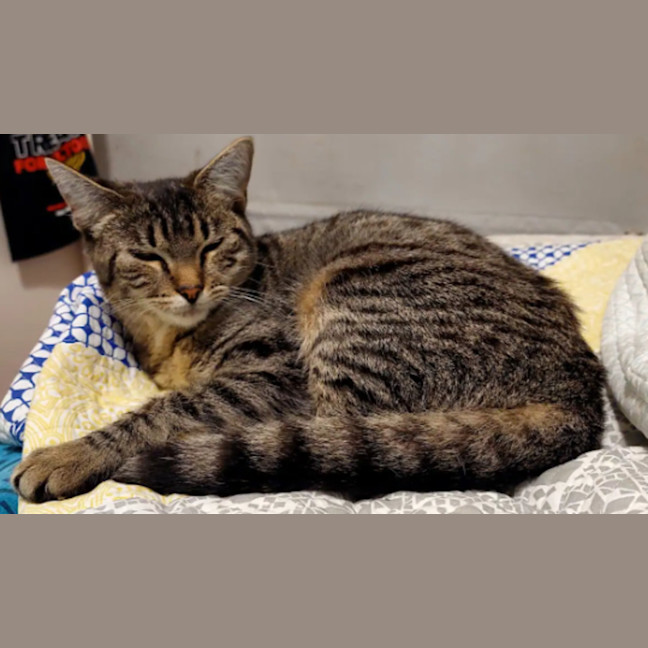 Photo of Sully 🌹🌹🌹