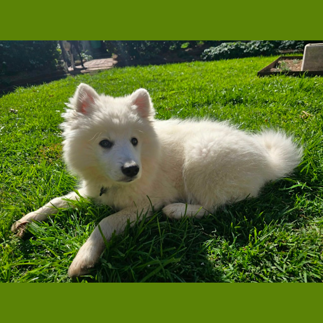 Photo of Yuki