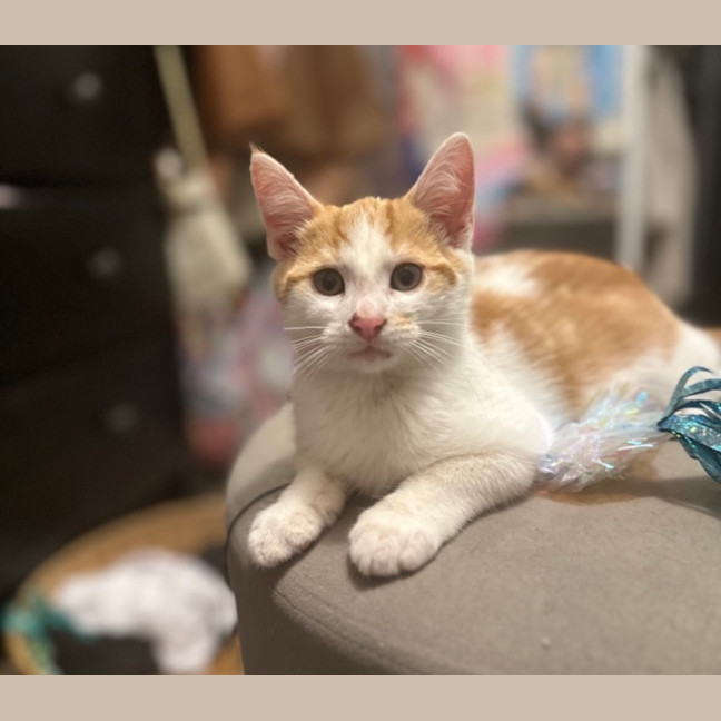 Photo of Sunny
