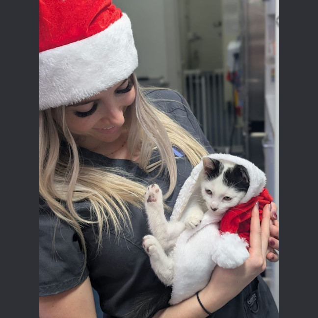 Photo of Tonkatsu Ramen 