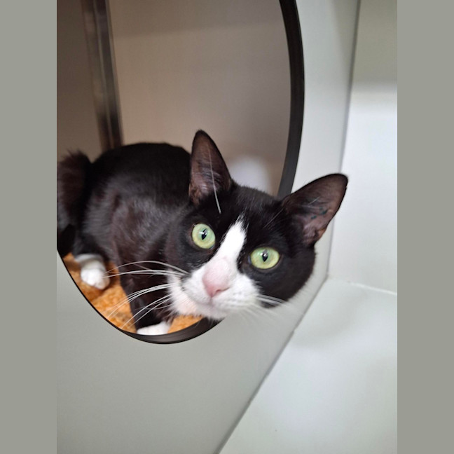 Photo of Peppermint Patty