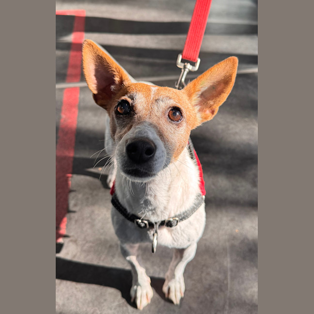 Photo of Susie