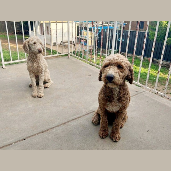 Photo of Stella Valenti