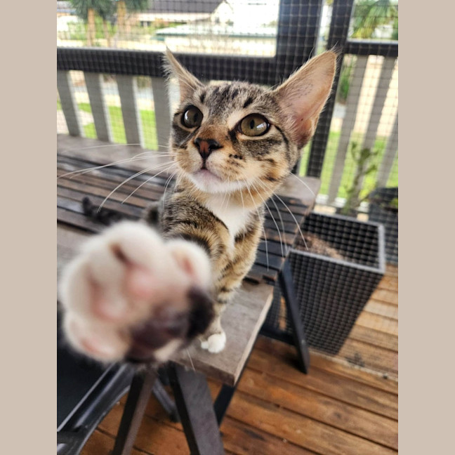 Photo of Libby 