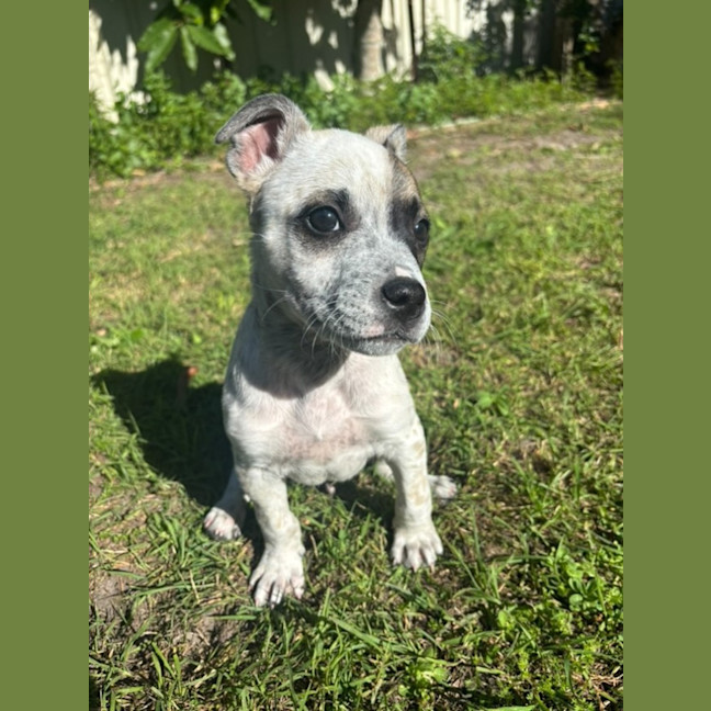 Photo of Preslee