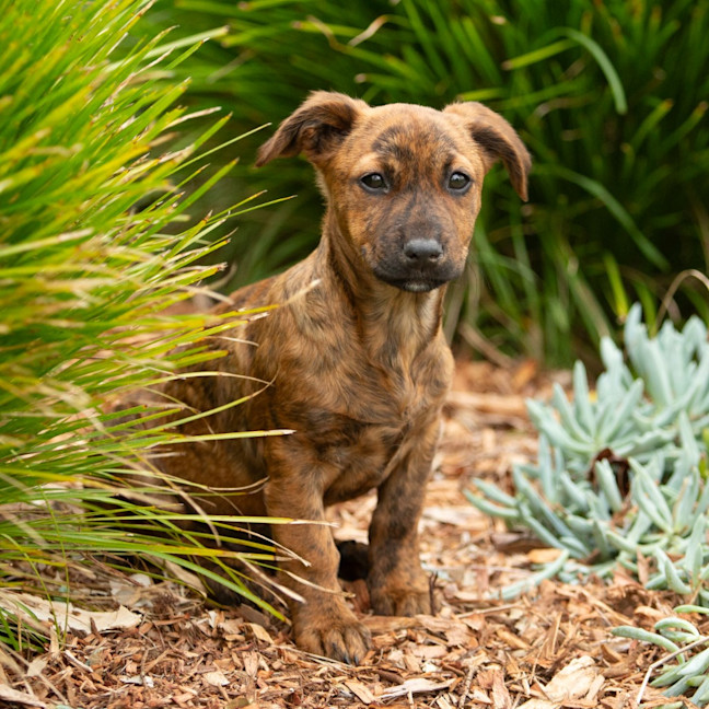 Photo of Tilly